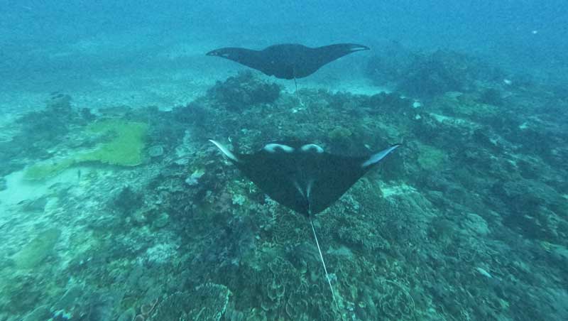 7-Must-Visit-Snorkeling-Destinations-wallpaper-HD