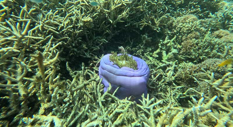 7-Must-Visit-Snorkeling-Destinations-wallpaper