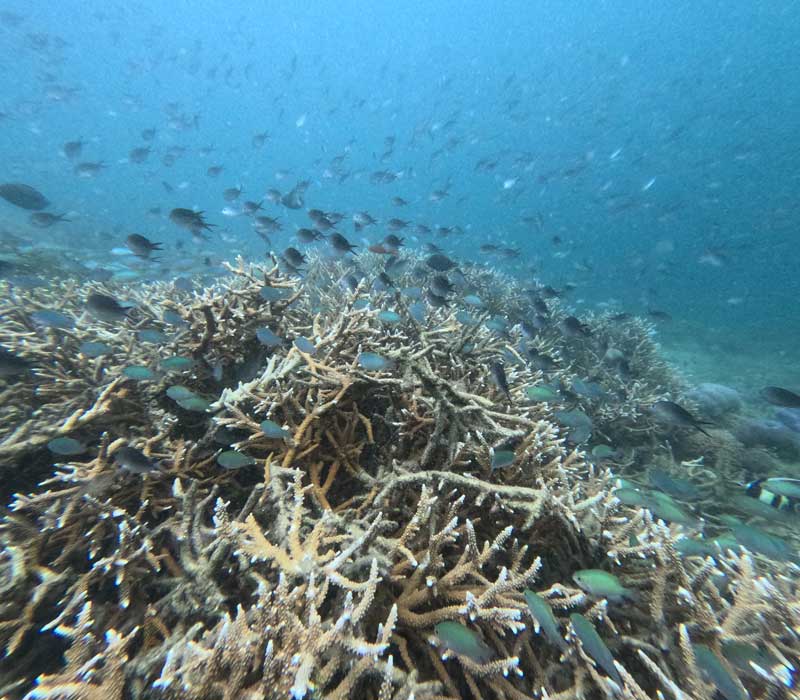 Pulau-Taka-Makassar-Lokasi,-Aktivitas,-hingga-Durasi-dari-Labuan-Bajo-wallpaper-HD