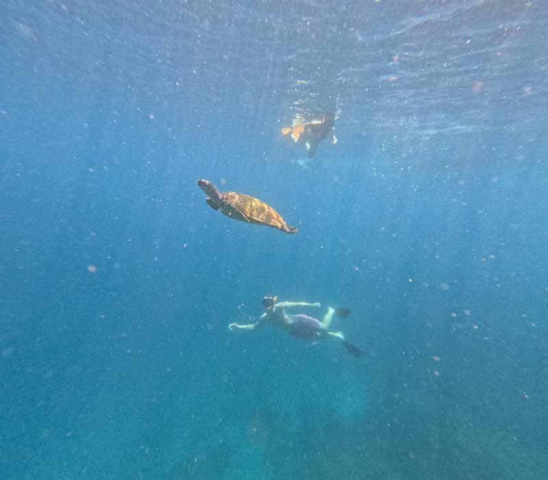 Pulau-Taka-Makassar-Lokasi,-Aktivitas,-hingga-Durasi-dari-Labuan-Bajo-wallpaper