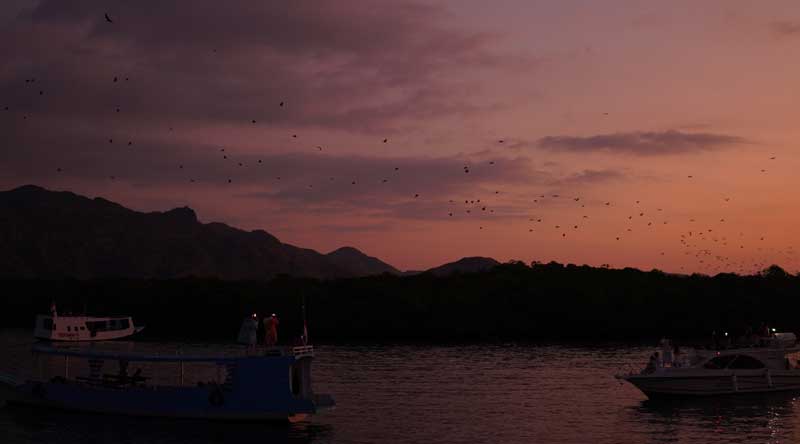 Best-Sunset-Cruise-Labuan-Bajo