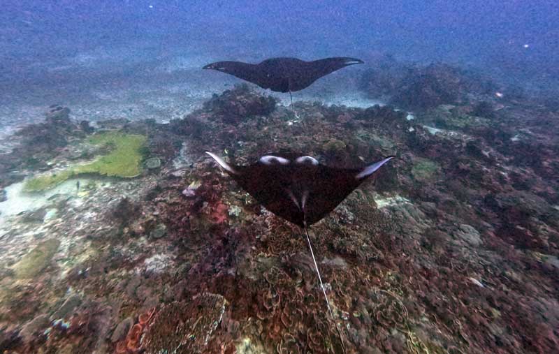 Ke-Labuan-Bajo-bagusnya-bulan-apa-wallpaper-HD