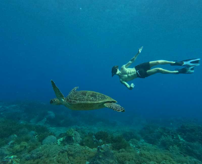Apa-saja-aktivitas-yang-ada-di-Pulau-Padar-wallpaper-HD