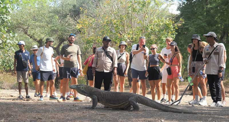 Bagaimana-Pulau-Komodo-di-Mata-Dunia-Intip-di-Sini-wallpaper-HD