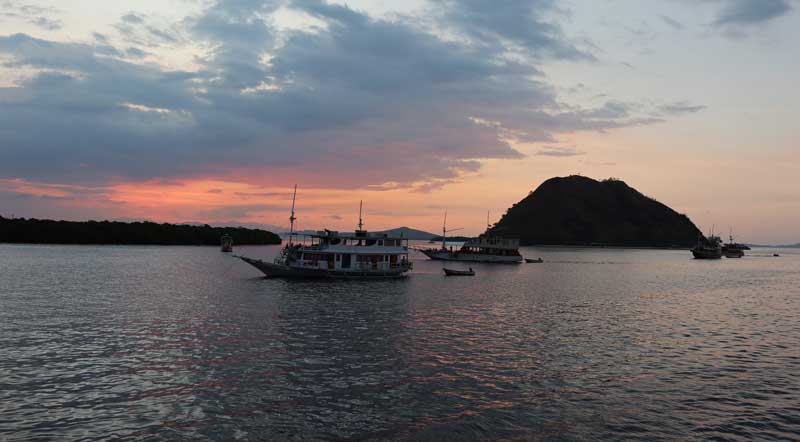 All-Tips-to-Komodo-Tour-from-Lombok-to-Flores-in-Indonesia-2026