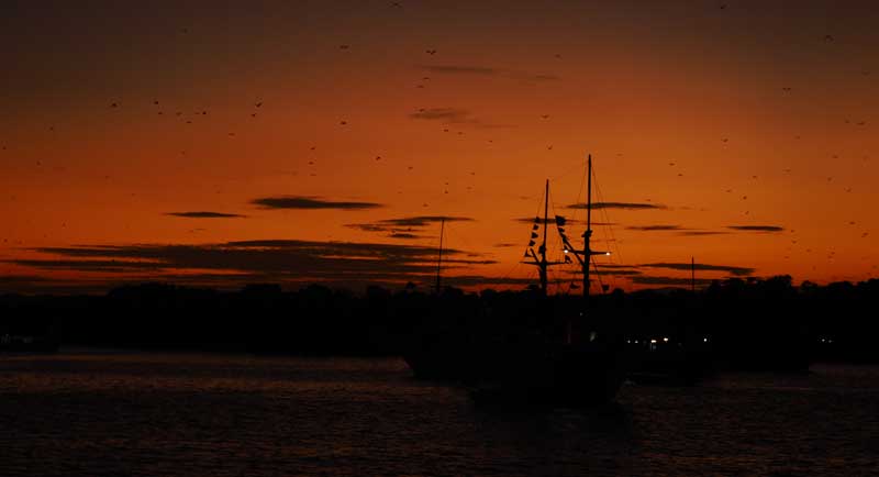 Best-Private-Boat-Komodo-Island-3-Days-2-Nights-2026-Guide-wallpaper