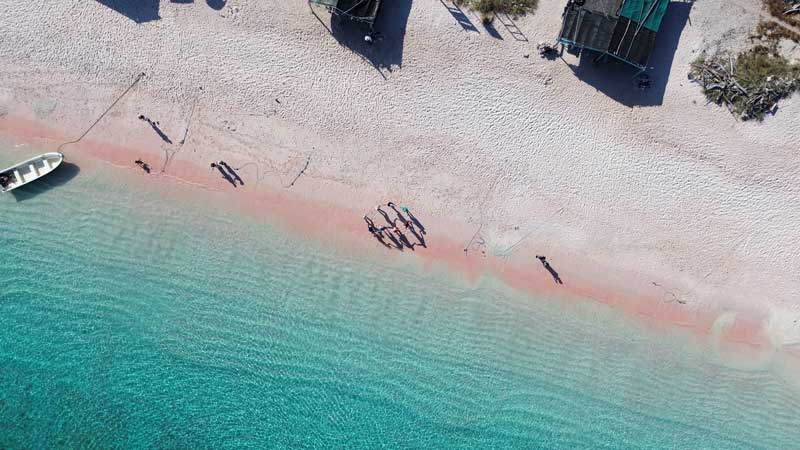 Inilah-Keunikan-Pantai-Pink-Lombok-yang-Disukai-Turis-2026