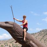 Boat-Trip-from-Lombok-To-Komodo-Island-4-Days-3-Nights