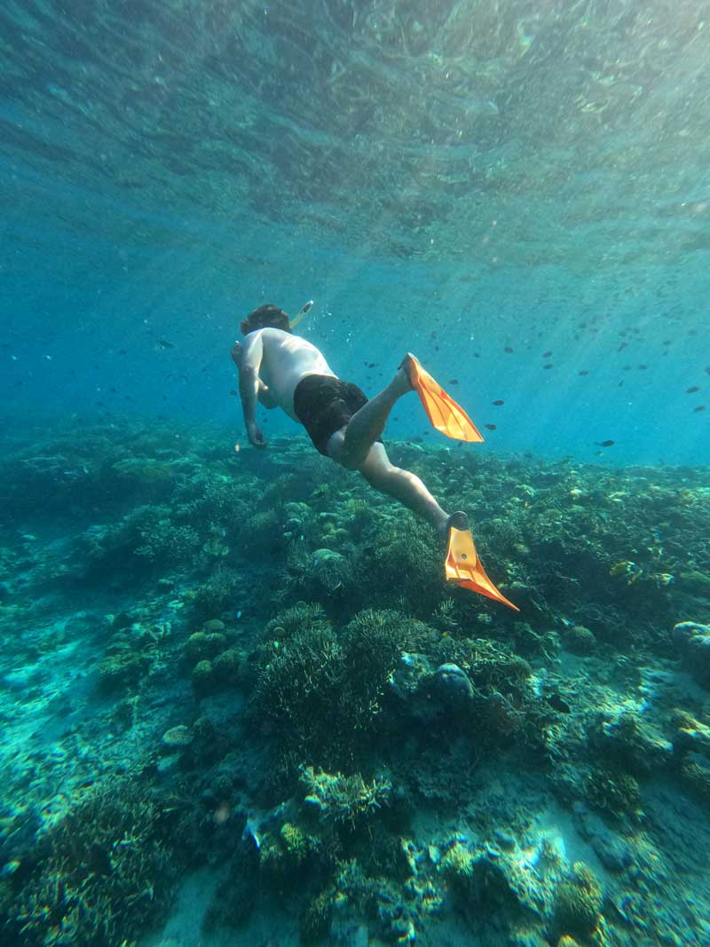 Tips-Snorkeling-di-Pink-Beach-Komodo-yang-Menyenangkan-2026-wallpaper