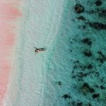Cara-Mudah-Menuju-Pink-Beach-Labuan-Bajo-dan-Sekitarnya-wallpaper