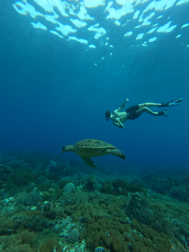 Inilah-Ciri-Khas-yang-Menjadi-Daya-Tarik-Pulau-Komodo-wallpaper