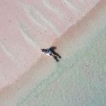 The-difference-between-Pink-Beach-Komodo-and-Long-Beach-Padar